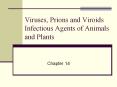 Viruses, Prions and Viroids Infectious Agents of Animals and Plants PowerPoint PPT Presentation