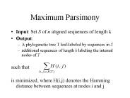 Maximum Parsimony