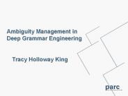 Ambiguity Management in Deep Grammar Engineering