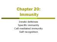 Chapter 20: Immunity PowerPoint PPT Presentation
