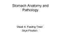 Stomach Anatomy and Pathology PowerPoint PPT Presentation