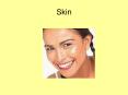Skin PowerPoint PPT Presentation