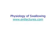 Physiology of Swallowing www.entlectures.com