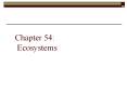Chapter 54: Ecosystems PowerPoint PPT Presentation