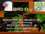 BIRD FLU