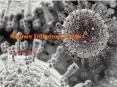 Nieuwe%20Influenza%20A%20H1N1 PowerPoint PPT Presentation
