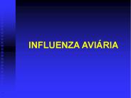 INFLUENZA AVI