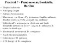 Practical 7 - Pseudomonas, Bordetella, Bacillus PowerPoint PPT Presentation