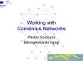 Working with Comenius Networks PowerPoint PPT Presentation