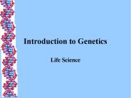 Introduction to Genetics