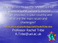 How is access to mental health care for linguistically and culturally diverse groups provided in your country and what are the main issues and challenges?  www.uel.ac.uk/psychology/staff/RachelTribe.htm Professor Rachel PowerPoint PPT Presentation