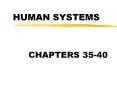 HUMAN SYSTEMS PowerPoint PPT Presentation