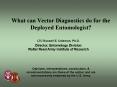 What can Vector Diagnostics do for the Deployed Entomologist? PowerPoint PPT Presentation