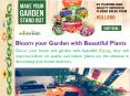 Bloom your Garden with Beautiful Plants PowerPoint PPT Presentation