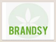 Marijuana website design Washington