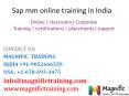 sap mm online training in australia PowerPoint PPT Presentation