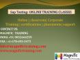 sap testing online training in canada PowerPoint PPT Presentation