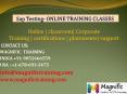sap testing online training in hyderabad PowerPoint PPT Presentation