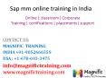 sap mm online training in australia PowerPoint PPT Presentation