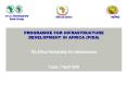 PROGRAMME FOR INFRASTRUCTURE DEVELOPMENT IN AFRICA (PIDA)  EU-Africa Partnership for Infrastructure  Tunis, 7 April 2010 PowerPoint PPT Presentation