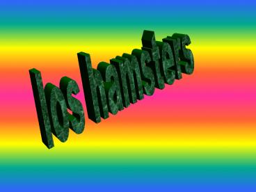 HÁMSTERS
