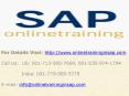 SAP XI Online Training and Placement - SAP XI DEMO - Online Training in SAP PowerPoint PPT Presentation