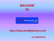 Need a Detective agency in Delhi
