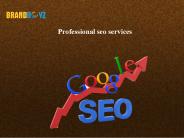 Professional seo services