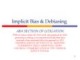 Implicit Bias PowerPoint PPT Presentation