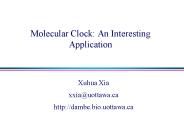 Molecular Clock: An Interesting Application