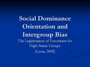 Social Dominance Orientation and Intergroup Bias