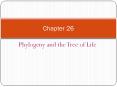 Phylogeny and the Tree of Life PowerPoint PPT Presentation