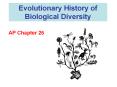 Evolutionary History of Biological Diversity PowerPoint PPT Presentation