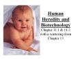Human Heredity and Biotechnology Chapter 11.1 PowerPoint PPT Presentation