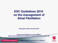 European%20Heart%20Journal%202010 PowerPoint PPT Presentation