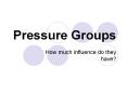 Pressure%20Groups PowerPoint PPT Presentation