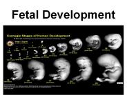 Fetal Development