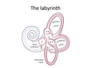The labyrinth