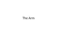 The Arm