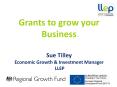 Grants to grow your Business PowerPoint PPT Presentation