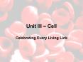 Unit III  PowerPoint PPT Presentation