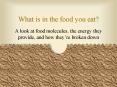 What is in the food you eat? PowerPoint PPT Presentation