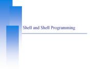 Shell and Shell Programming