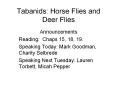 Tabanids:%20Horse%20Flies%20and%20Deer%20Flies PowerPoint PPT Presentation
