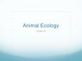 Animal Ecology PowerPoint PPT Presentation