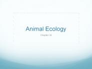 Animal Ecology