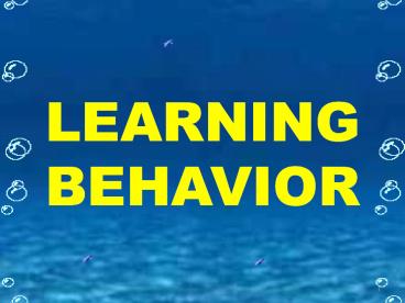 LEARNING BEHAVIOR