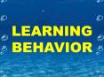 LEARNING BEHAVIOR PowerPoint PPT Presentation