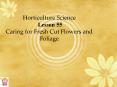 Horticulture Science Lesson 55 Caring for Fresh Cut Flowers and Foliage PowerPoint PPT Presentation