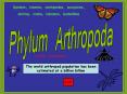 Phylum Arthropoda PowerPoint PPT Presentation